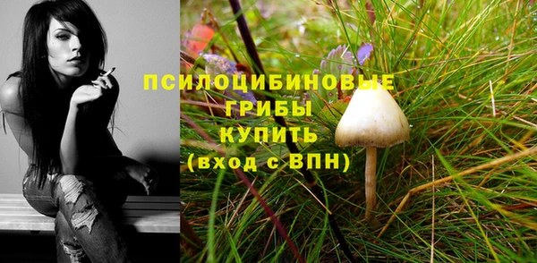метадон Елабуга