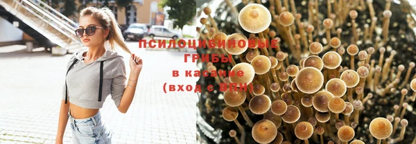 марихуана Елизово