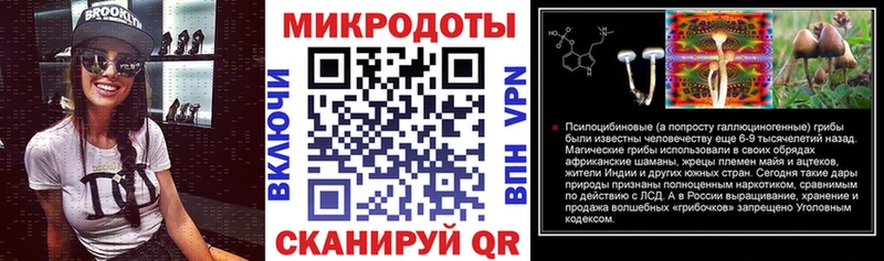 Псилоцибиновые грибы Psilocybe  Нижняя Тура 